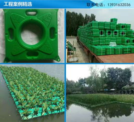 江蘇人工生態(tài)浮島與廊坊聚格塑料制品廠戶外地板應用圖解
